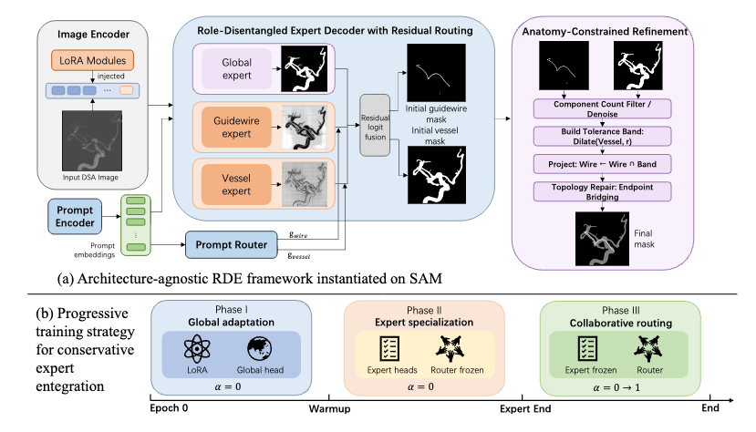 RDE-Seg: Role-Disentangled Experts with
                        Residual Routing and Anatomy Constraints for DSA Guidewire Segmentation